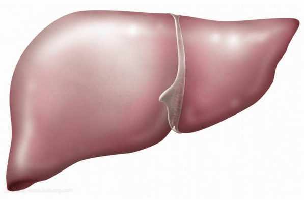 肝病患者要补硒（补患者肝病硒要吃多久）-硒宝网