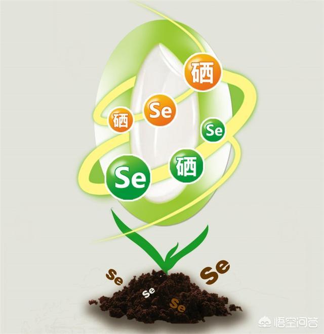 干的菇能补硒吗(菌菇硒保健品)-硒宝网