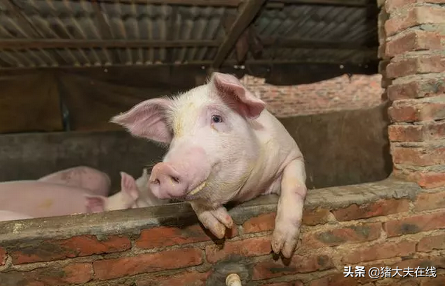 哺乳期能补硒吗(哺乳期能吃补硒的药吗)-硒宝网