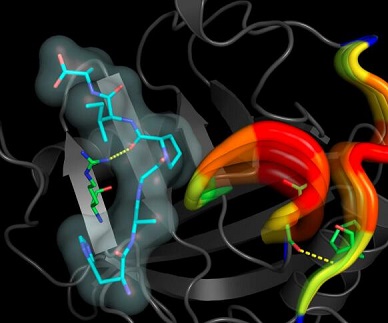 银屑病要补硒吗(硒缺乏银屑?。?硒宝网