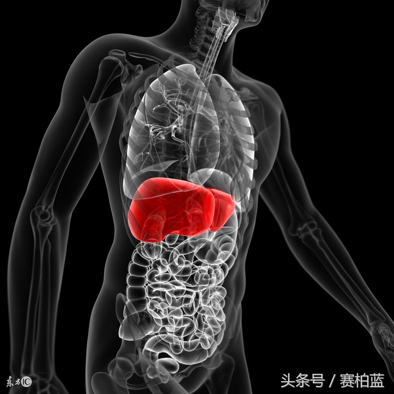 脂肪肝能补硒吗（肝脂肪能补硒嘛）-硒宝网