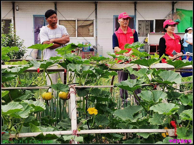 富硒粮仓的产品(富硒粮仓店怎么样加盟)-硒宝网