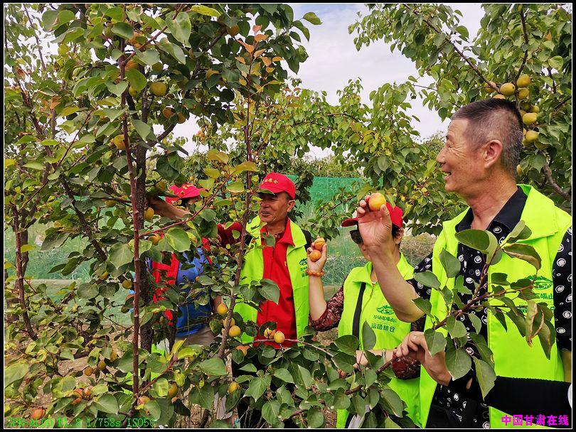 富硒粮仓的产品(富硒粮仓店怎么样加盟)-硒宝网