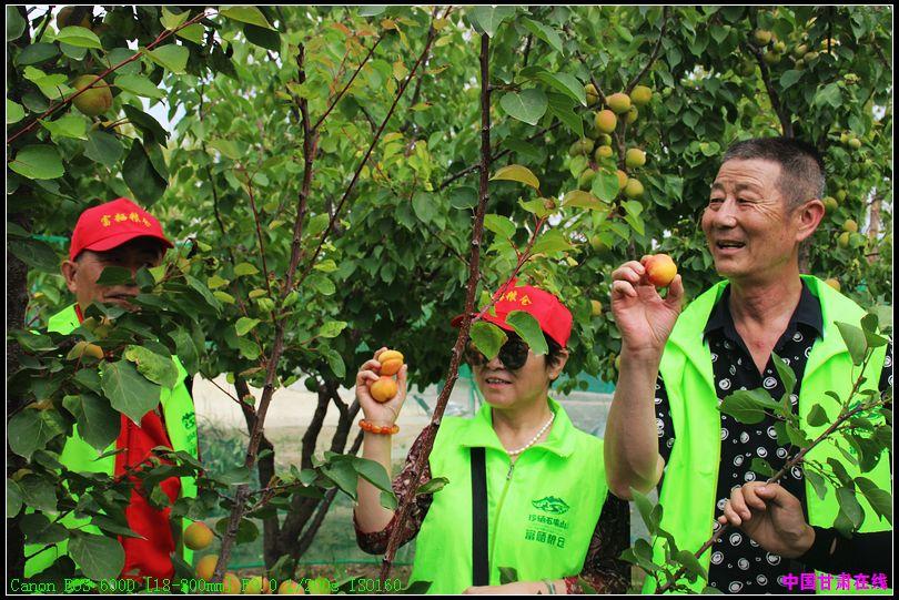 富硒粮仓的产品(富硒粮仓店怎么样加盟)-硒宝网