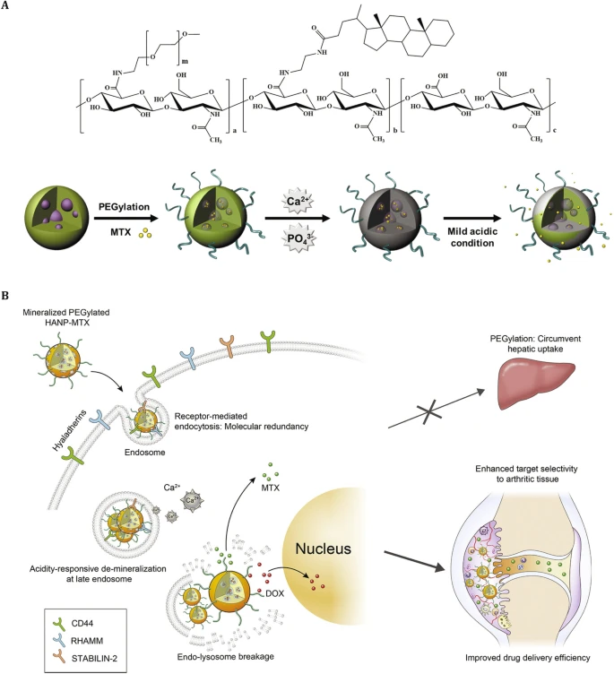 补硒后膝关节痛(关节膝痛补硒后能恢复吗)-硒宝网