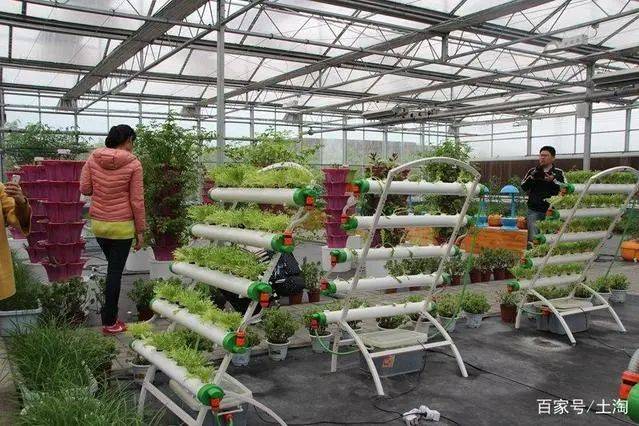 焦作富硒农产品（河南富硒农业科技有限公司）-硒宝网