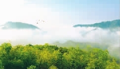 桃源县富硒产品（桃源县富硒茶叶示范基地）-硒宝网