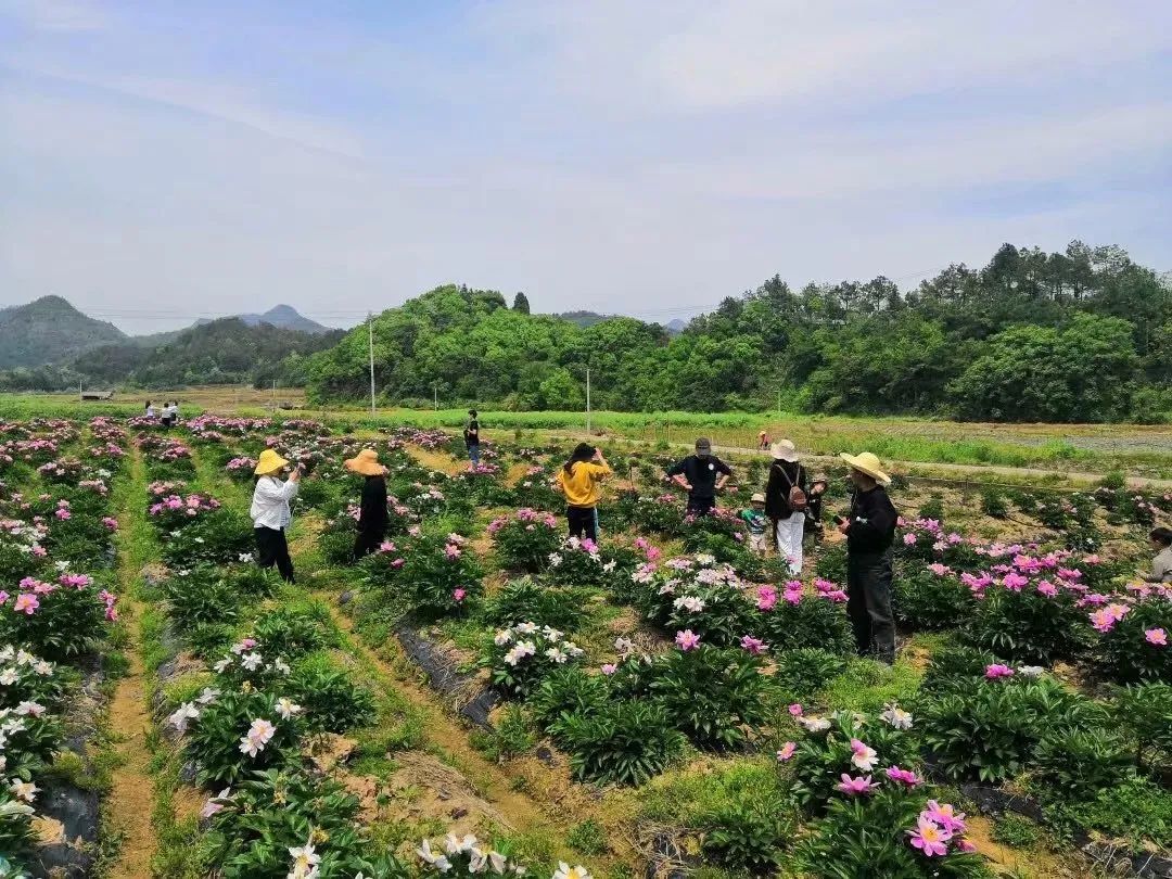 盛硒源富硒产品(盛源富硒产品硒含量高吗)-硒宝网