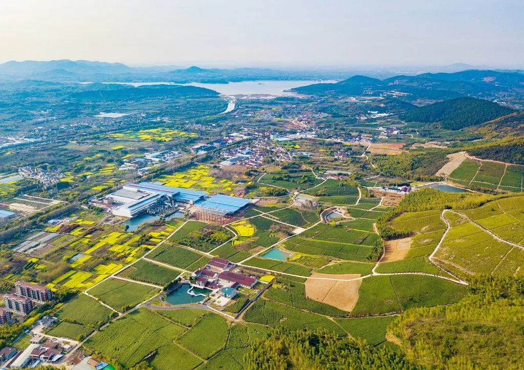 海阳镇富硒产品(富硒小镇是什么意思)-硒宝网