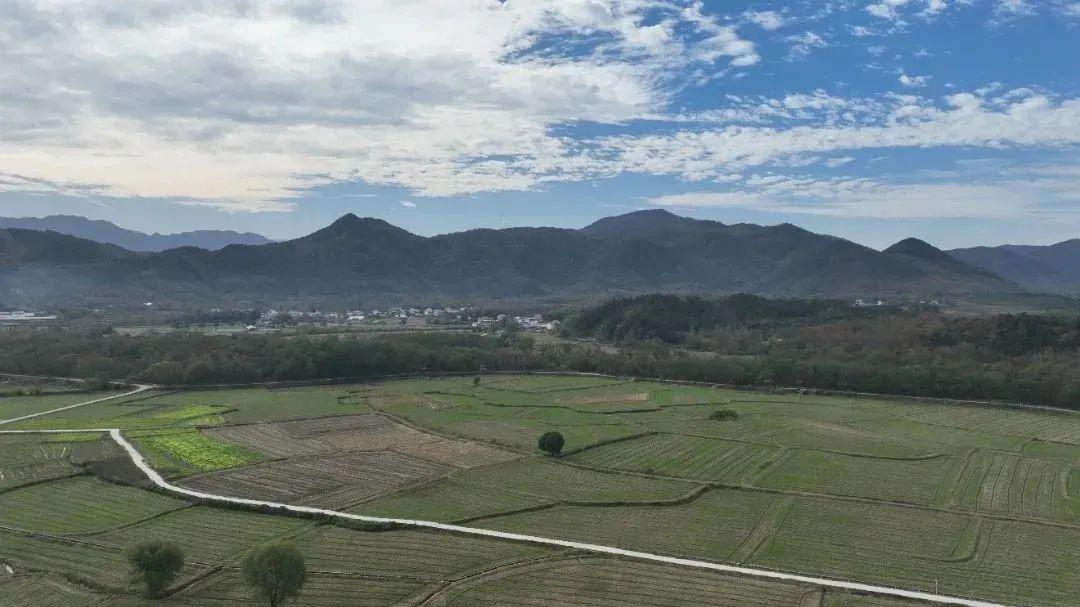 富硒米产品简介（富硒米有哪些品牌）-硒宝网