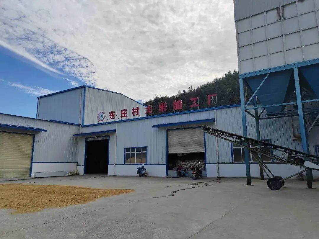 富硒米产品简介（富硒米有哪些品牌）-硒宝网