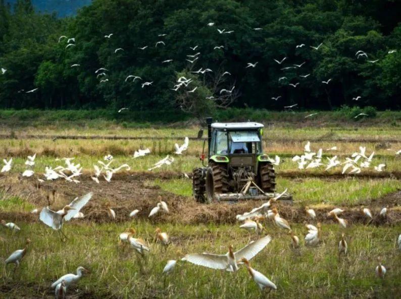 富硒米产品简介（富硒米有哪些品牌）-硒宝网