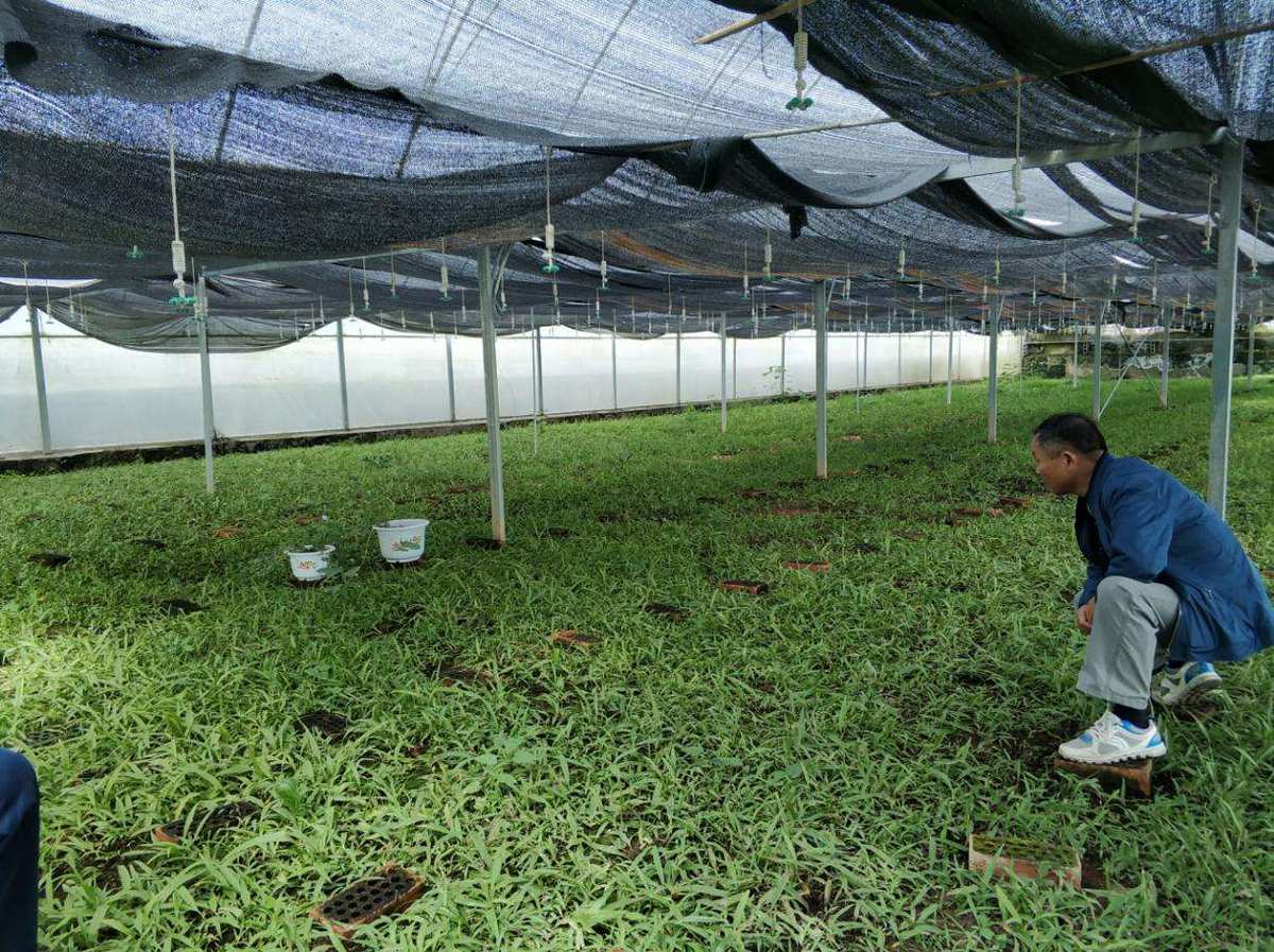 盛硒源富硒产品(盛源富硒产品硒含量多少)-硒宝网