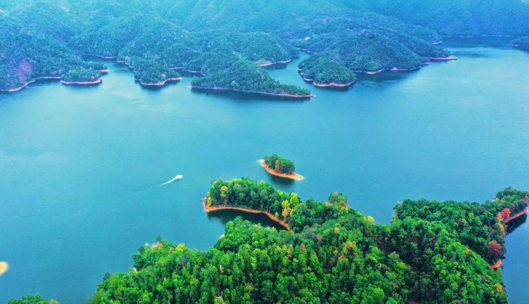 富硒鱼产品加工（加工鱼富硒产品图片）-硒宝网