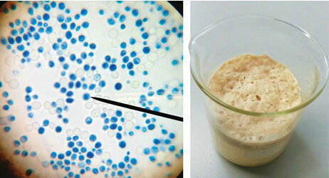 富硒肥配方产品（富硒肥生产厂家）-硒宝网