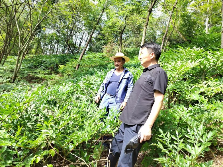 陕西的富硒产品(陕西富硒产品排名)-硒宝网