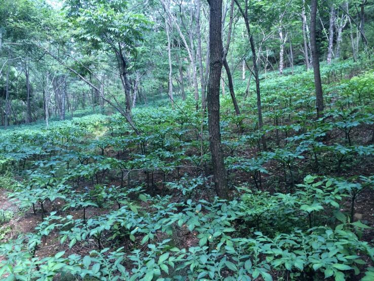 陕西的富硒产品(陕西富硒产品排名)-硒宝网