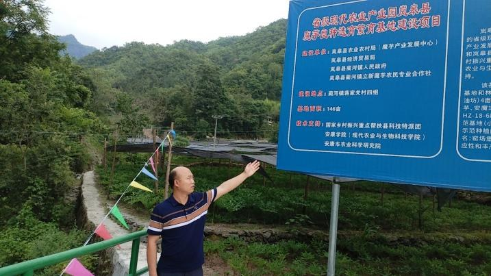 陕西的富硒产品(陕西富硒产品排名)-硒宝网