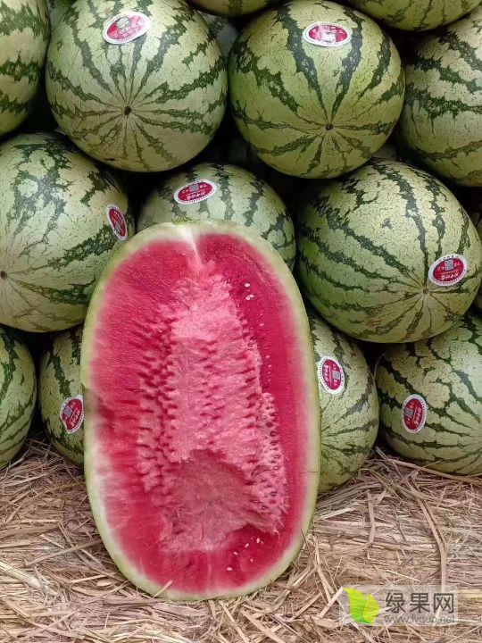 富硒产品哪有买（买富硒产品有风险吗）-硒宝网