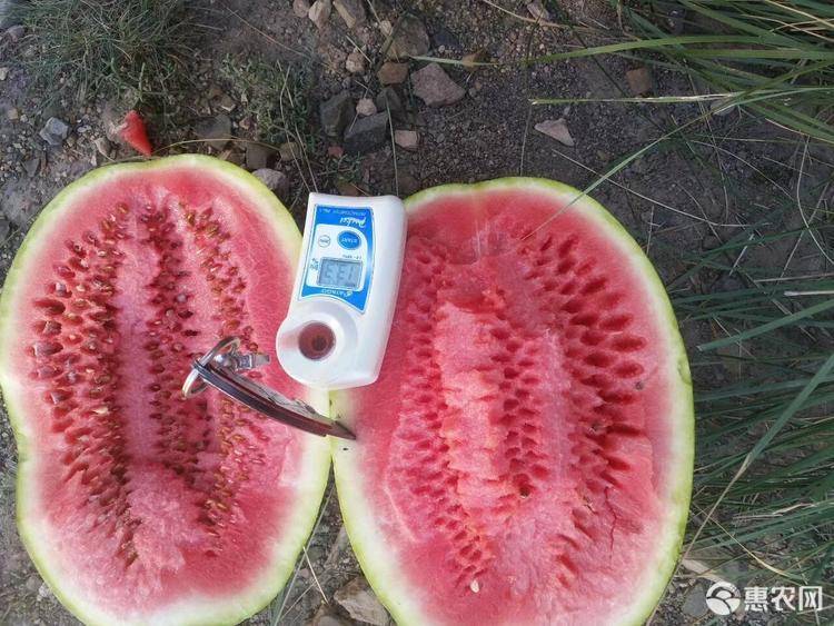 富硒产品哪有买（买富硒产品有风险吗）-硒宝网