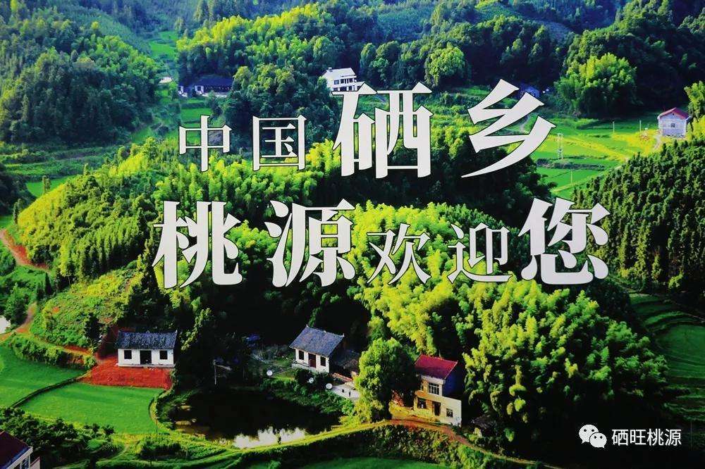 富硒产品亩投入（投入富硒产品多少钱）-硒宝网