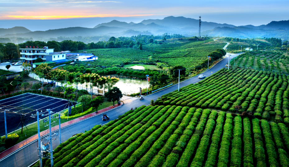 富硒产品有那些（富硒产品有哪些）-硒宝网