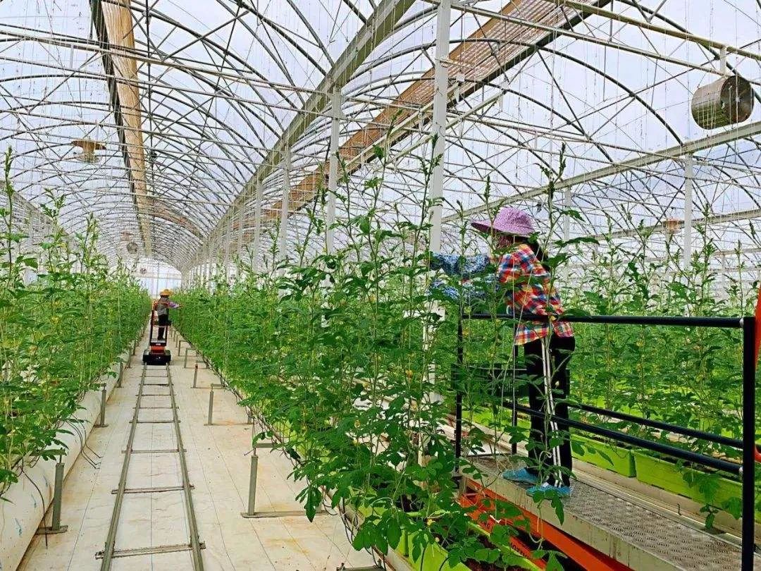 富硒茶啤酒产品（啤酒茶富硒产品有哪些）-硒宝网