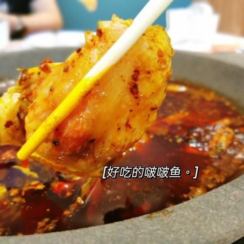 安康富硒鱼产品(安康鱼营养)-硒宝网