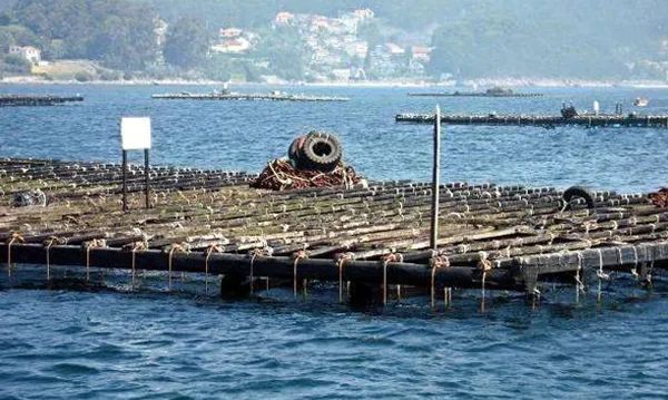 德膳堂富硒产品（德善堂富硒）-硒宝网