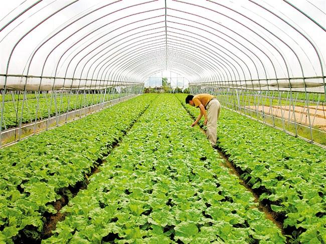 富硒产品的远景（远景富硒产品怎么样）-硒宝网