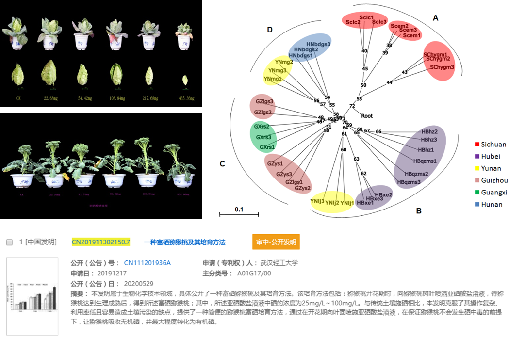 富硒有什么产品（富硒产品有科学依据吗）-硒宝网