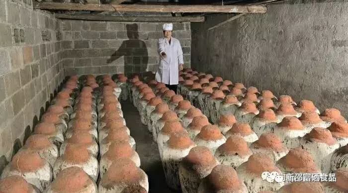 富硒茶啤酒产品(啤酒茶富硒产品介绍)-硒宝网