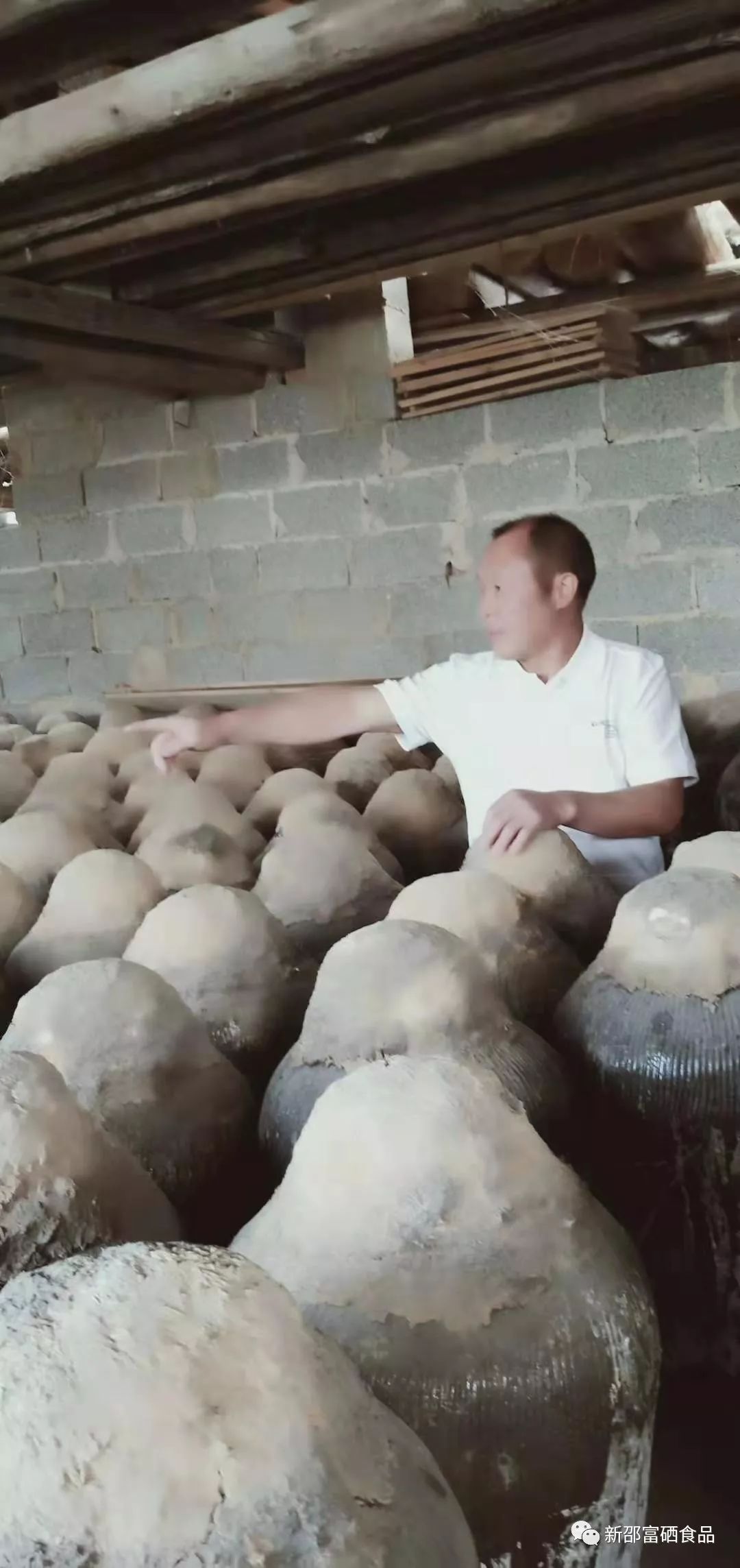 富硒茶啤酒产品(啤酒茶富硒产品介绍)-硒宝网