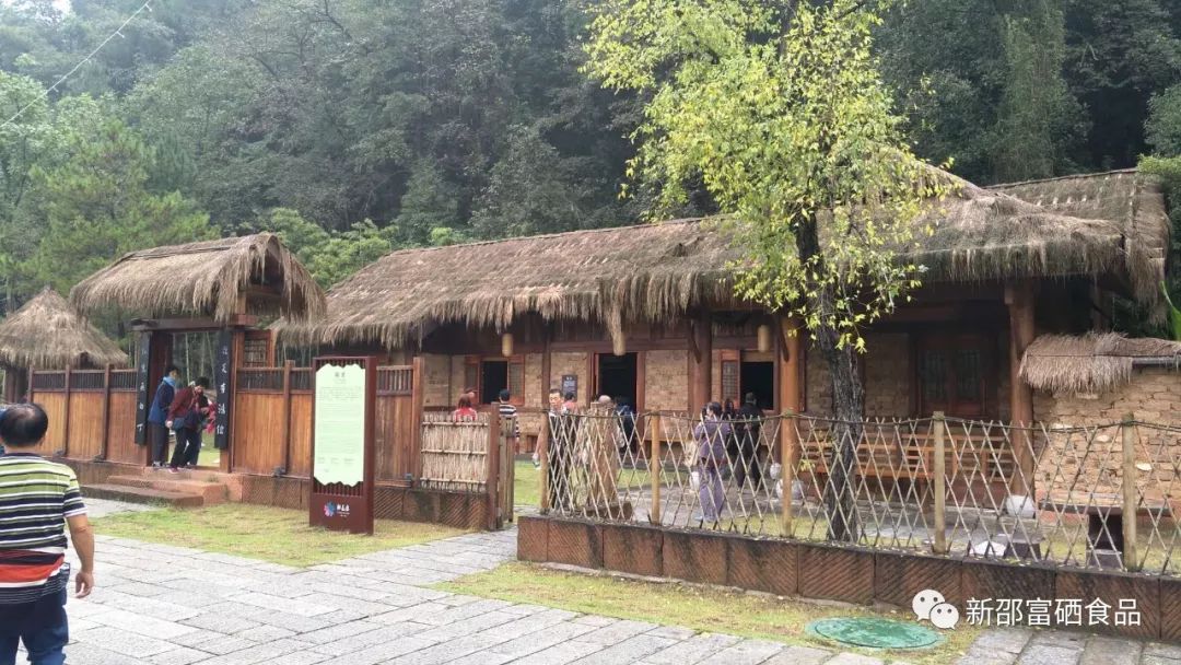 富硒茶啤酒产品(啤酒茶富硒产品介绍)-硒宝网