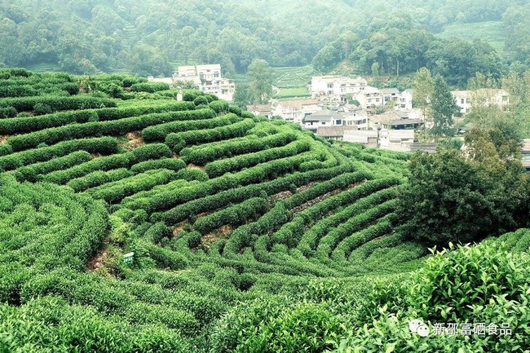 富硒茶啤酒产品(啤酒茶富硒产品介绍)-硒宝网