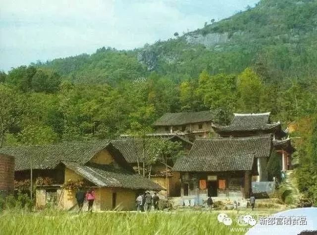 富硒茶啤酒产品(啤酒茶富硒产品介绍)-硒宝网