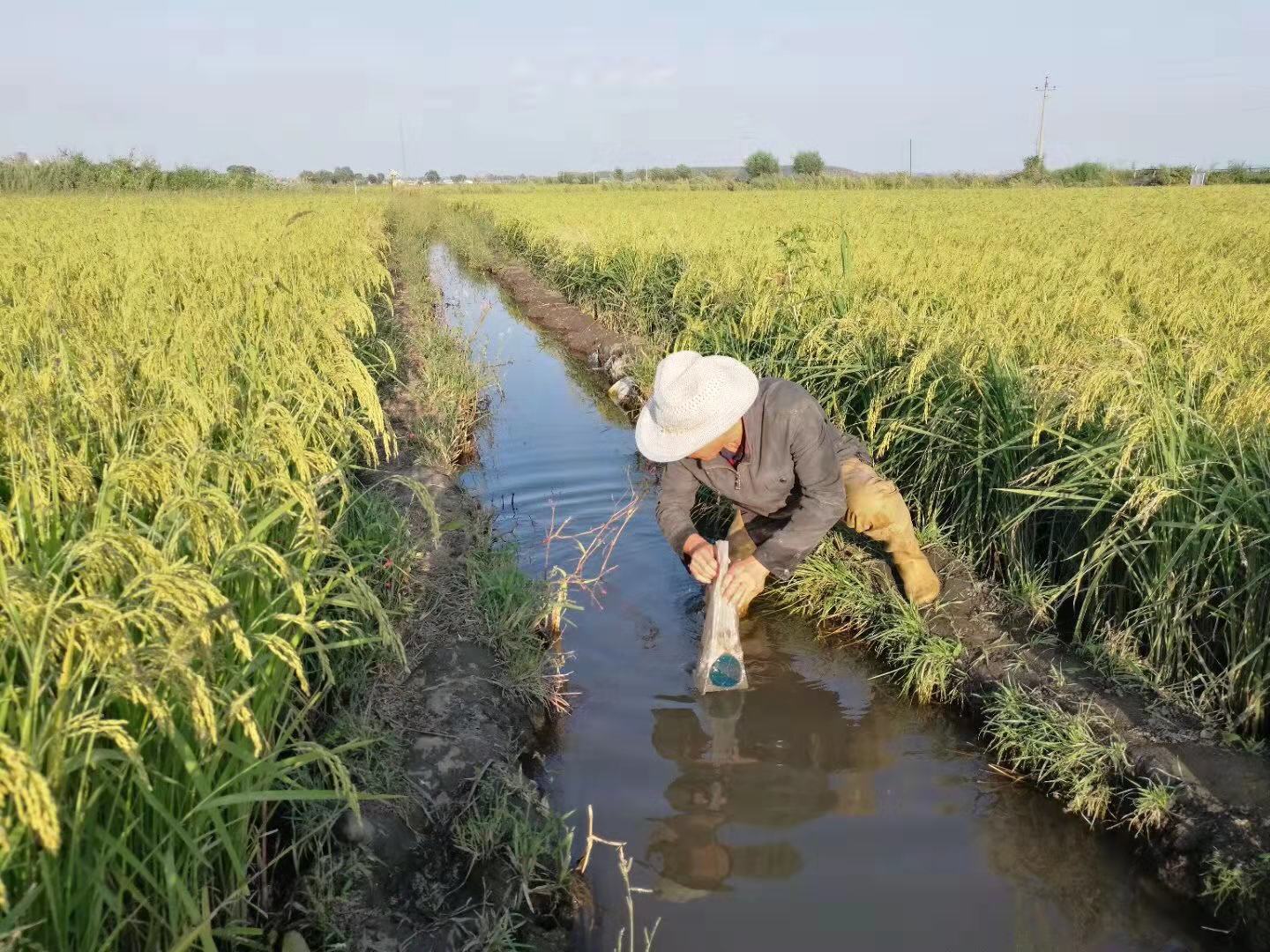 开阳富硒产品馆（富硒开阳-天生兄妹）-硒宝网