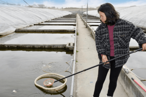 富硒鱼产品招商(富硒鱼产品招商)-硒宝网