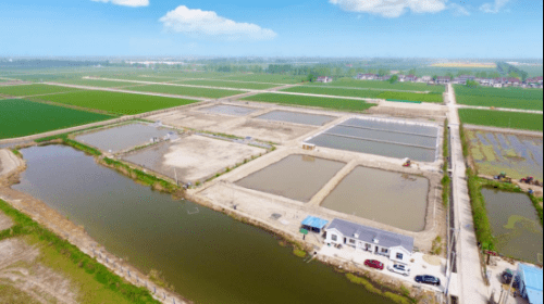 富硒鱼产品招商(富硒鱼产品招商)-硒宝网