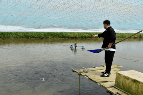 富硒鱼产品招商(富硒鱼产品招商)-硒宝网