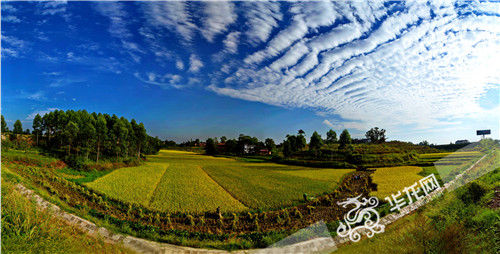 富硒产品进超市(超市进富硒产品怎么样)-硒宝网