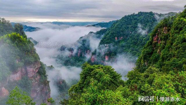 贵州的富硒产品（贵州富硒产品有哪些）-硒宝网
