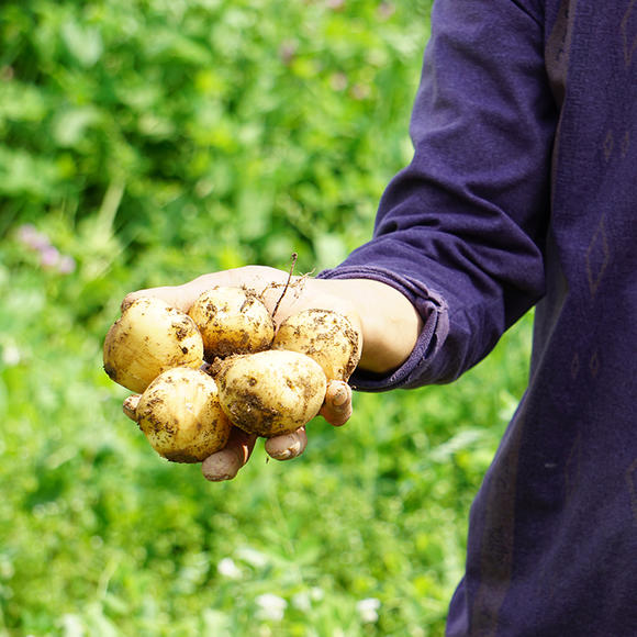富硒产品的论文（富硒产品的调查和分析）-硒宝网