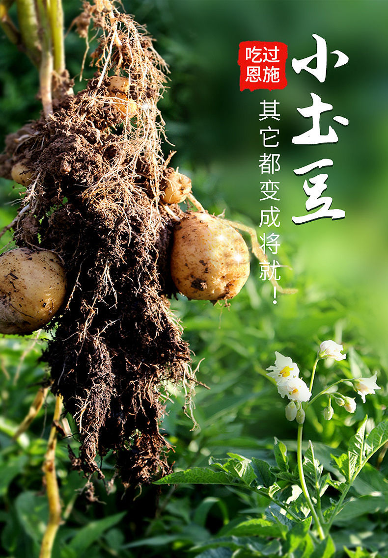 富硒产品的论文（富硒产品的调查和分析）-硒宝网