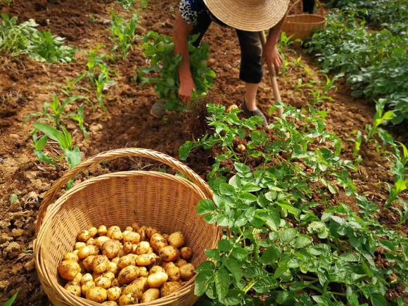 富硒产品的论文（富硒产品的调查和分析）-硒宝网