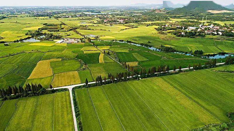 田园捞富硒产品（富硒产品检测）-硒宝网