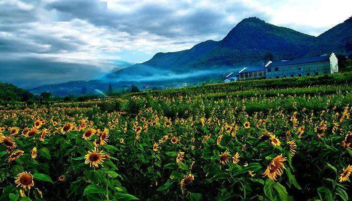 田园捞富硒产品（富硒产品检测）-硒宝网