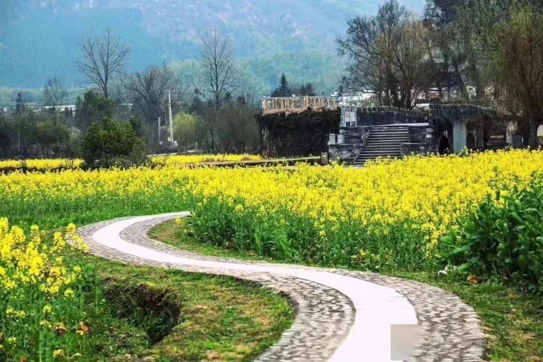 田园捞富硒产品（富硒产品检测）-硒宝网