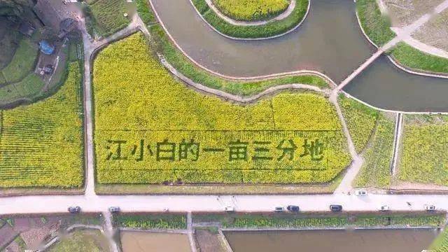 田园捞富硒产品（富硒产品检测）-硒宝网