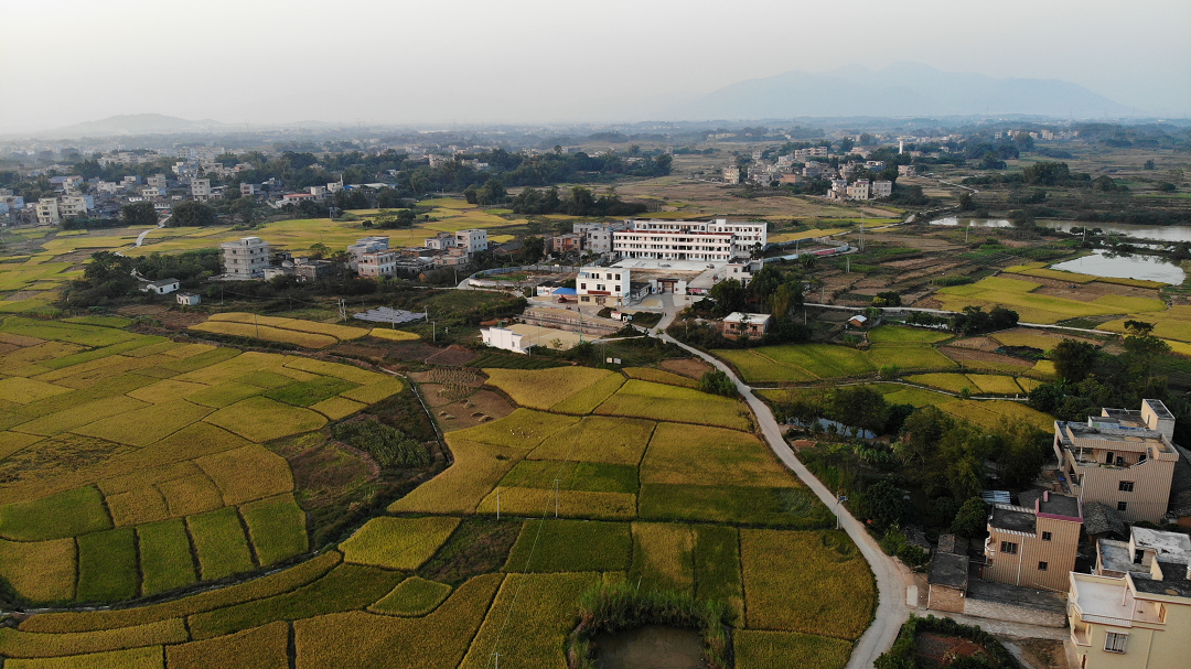 村发展富硒产品(村富硒发展产品推广方案)-硒宝网